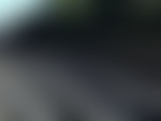 Woman killed by train identified