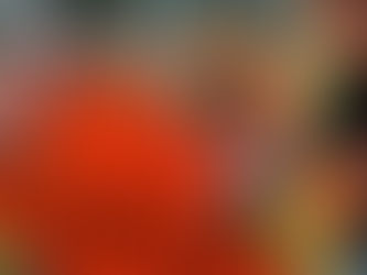 City of Logan puts up $5,000 cash & scholarships for litter clean-up contests