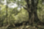 El Escondite_edited.jpg