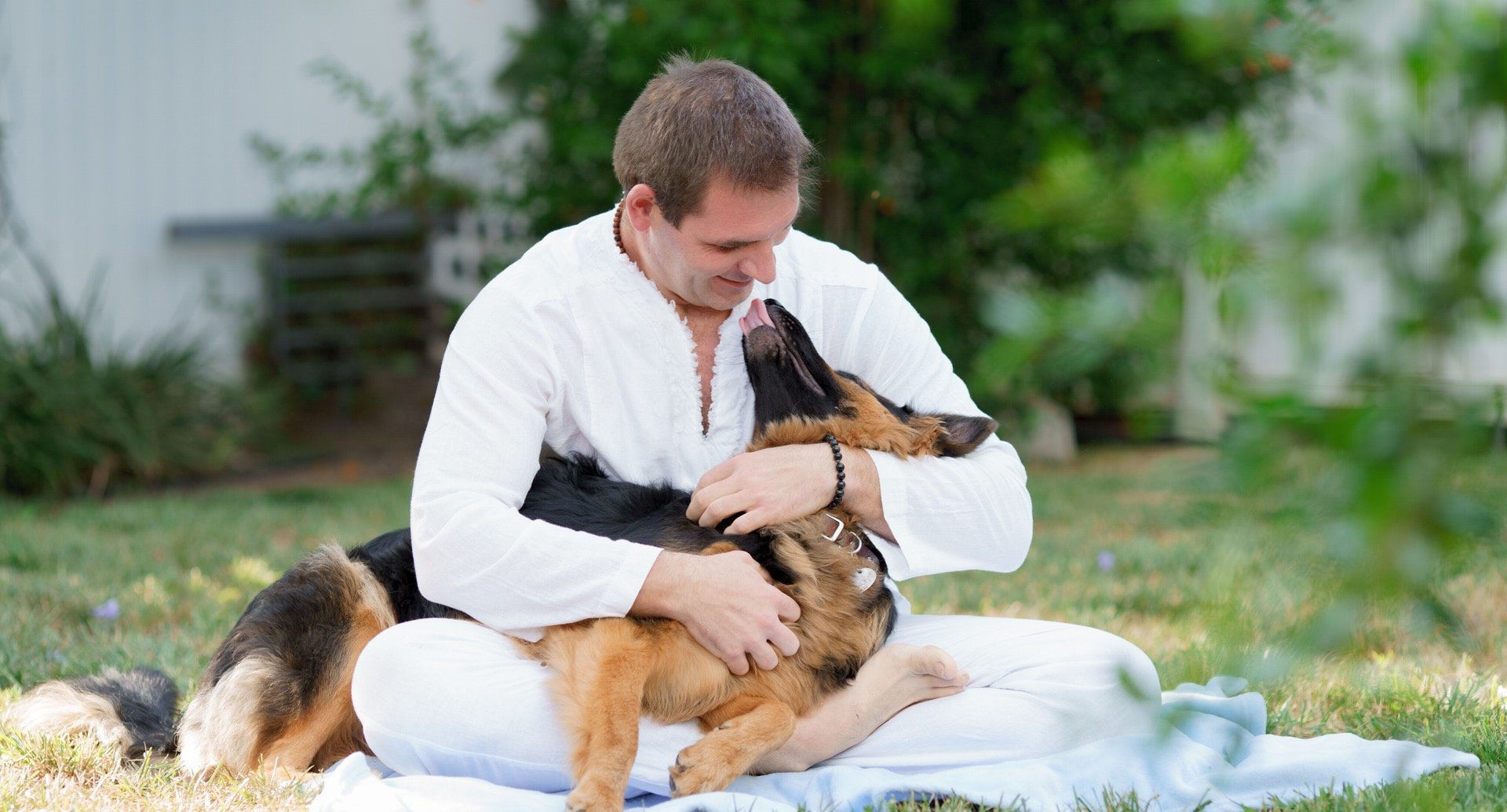 Reiki Healing for Animals