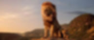 LION 2.jpeg
