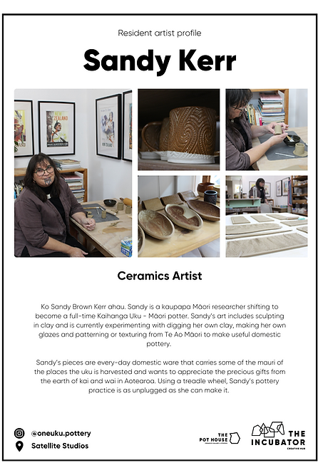 Sandy Kerr - resident artist infographic.png