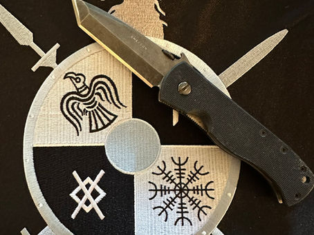 KNIVES, WHETSTONES, A REVIEW OF THE "WORKSHARP PROFESSIONAL PRECISION ADJUST", AND THE CARE OF A WARRIOR’S BLADE