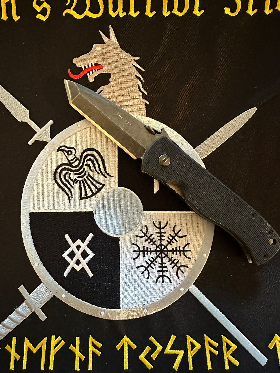KNIVES, WHETSTONES, A REVIEW OF THE "WORKSHARP PROFESSIONAL PRECISION ADJUST", AND THE CARE OF A WARRIOR’S BLADE
