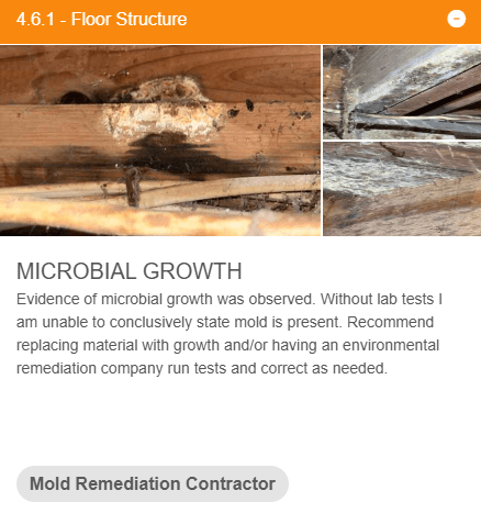 Home inspection defect of mold in crawlspace.