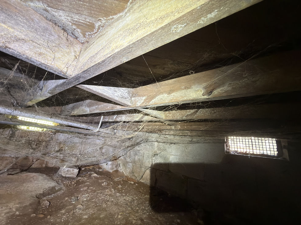 Mold growth discovered in crawlspace during a full home inspection.