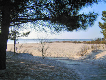 meilleurs endroits sport arcachon