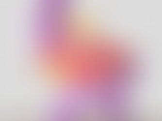 Case Study: Temporal Transcriptomic Analysis of Cadmium Chloride Nephrotoxicity