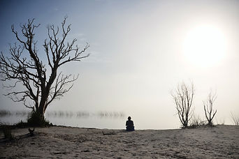 DSC_0493a.jpg