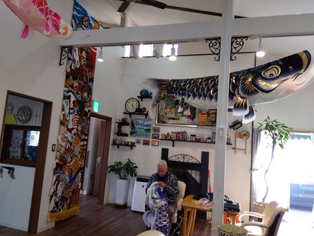 温室育ちの鯉のぼり