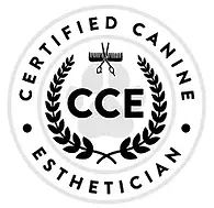 CCE logo.webp