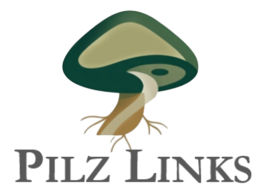 Photoroom_20260410_092710.png