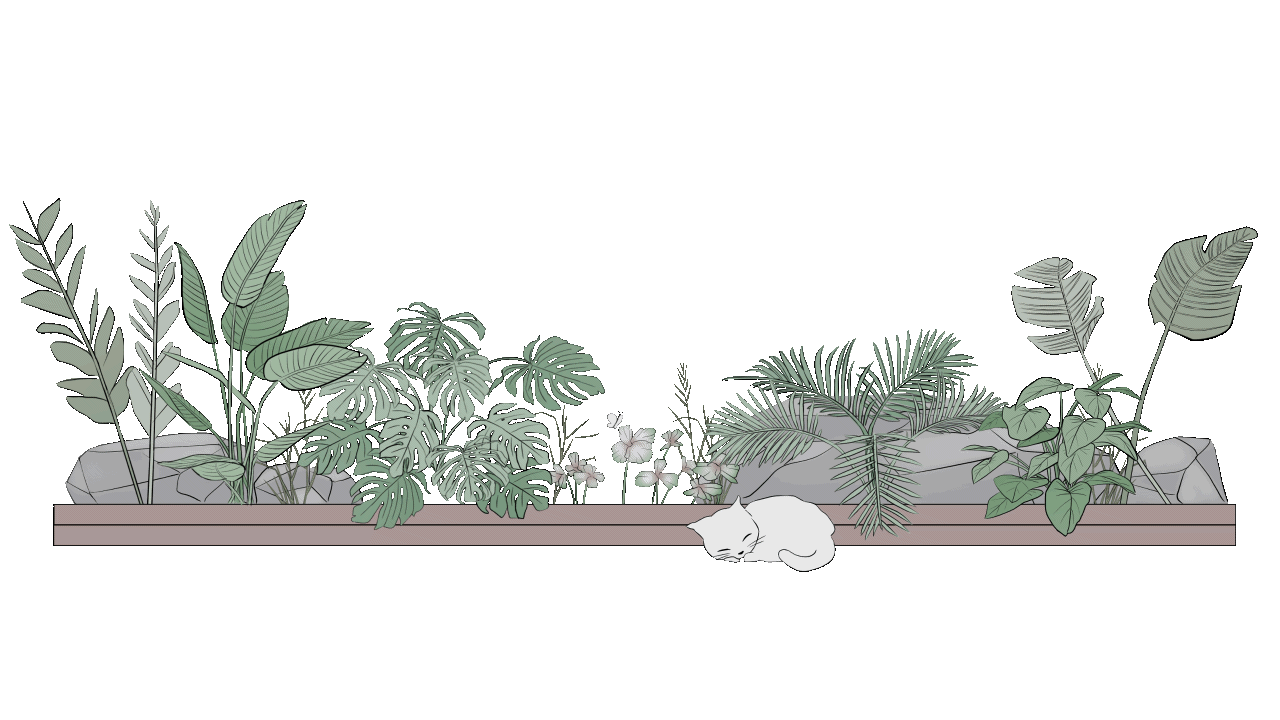 plantsanimation.gif