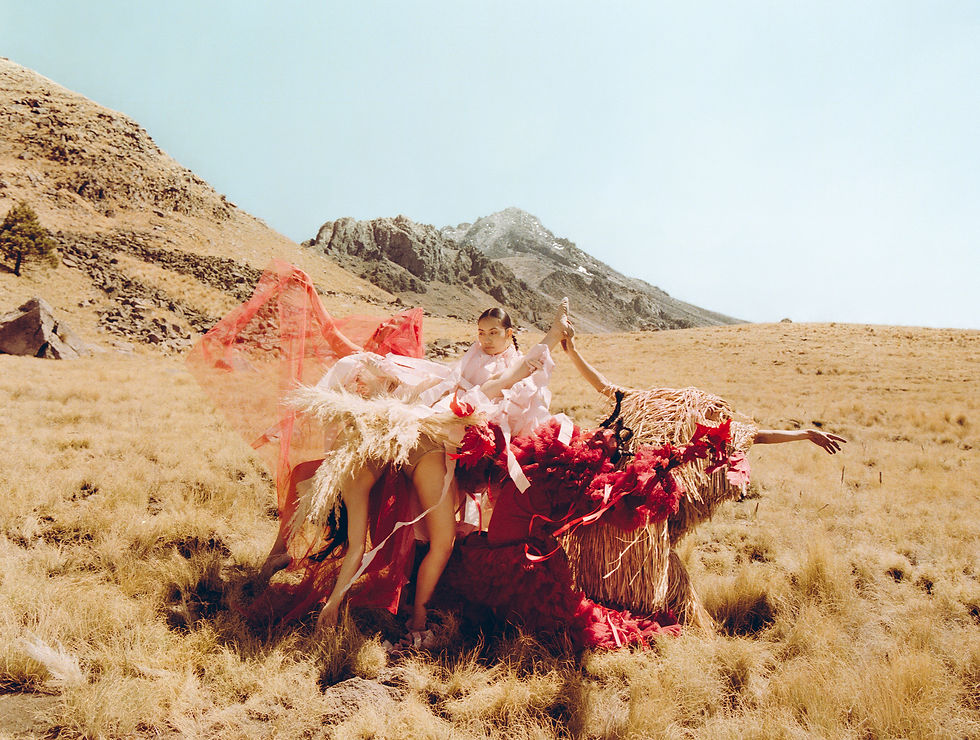 banner-animundi-interior copia.jpg