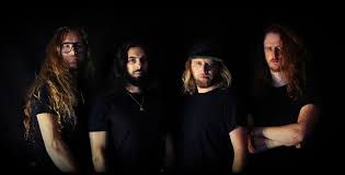 Click the image to learn more.