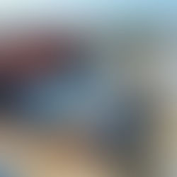 Les Halles de la Cartoucherie à Toulouse