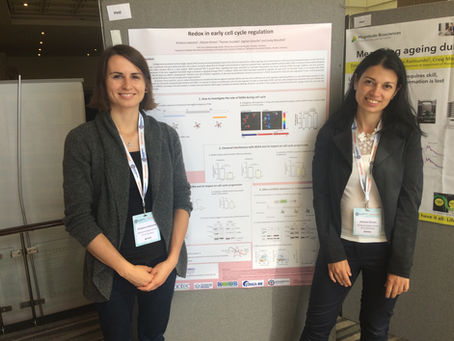 Redox Signalling in Physiology, Ageing and Disease 2019