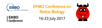 courtesy of http://redoxrussia2017.org/