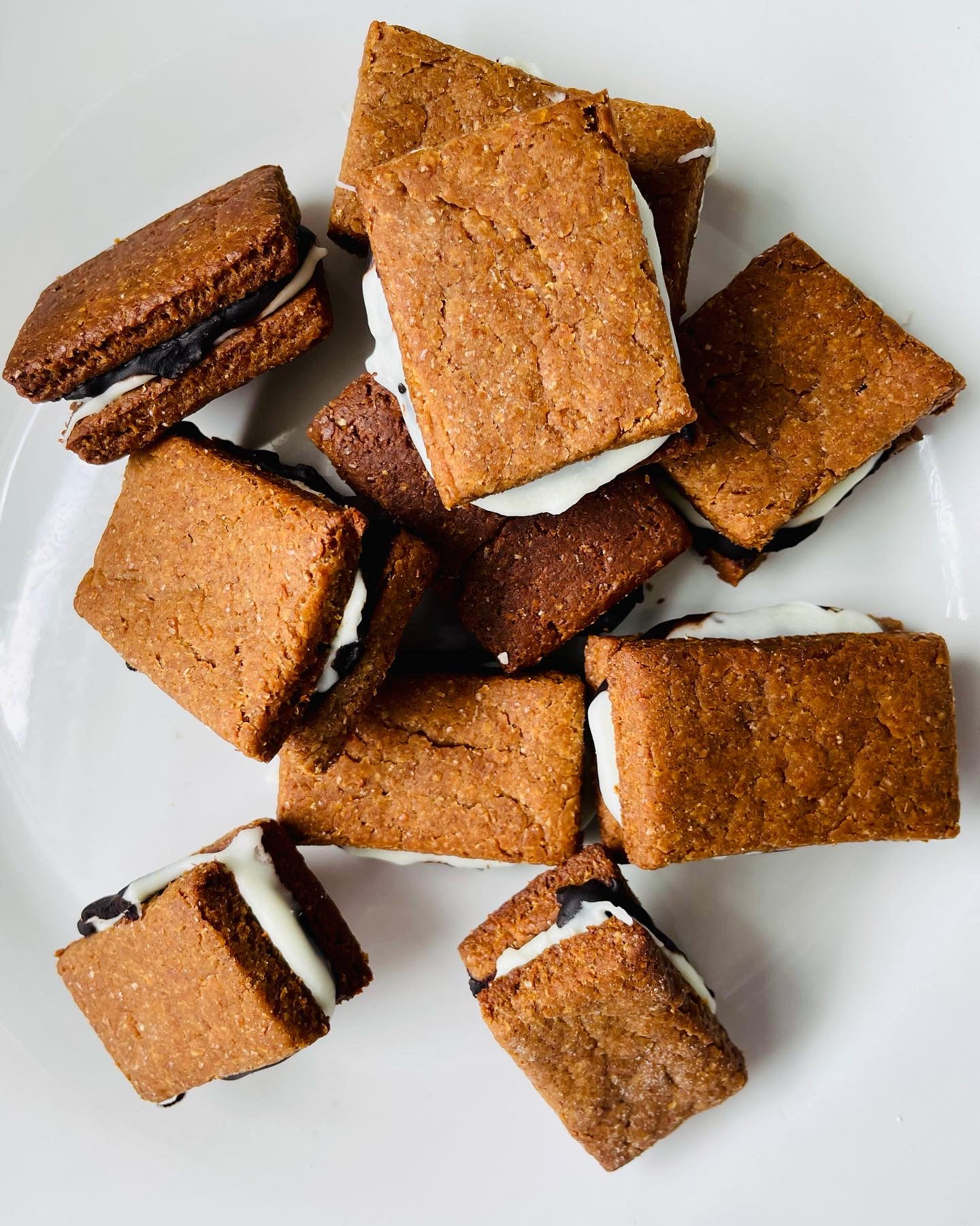 Tail Waggin’ S’mores