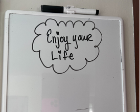 Diary of Zen Seeker w/Reenie