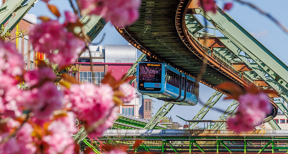 Schwebbahn mit Kirschblüten