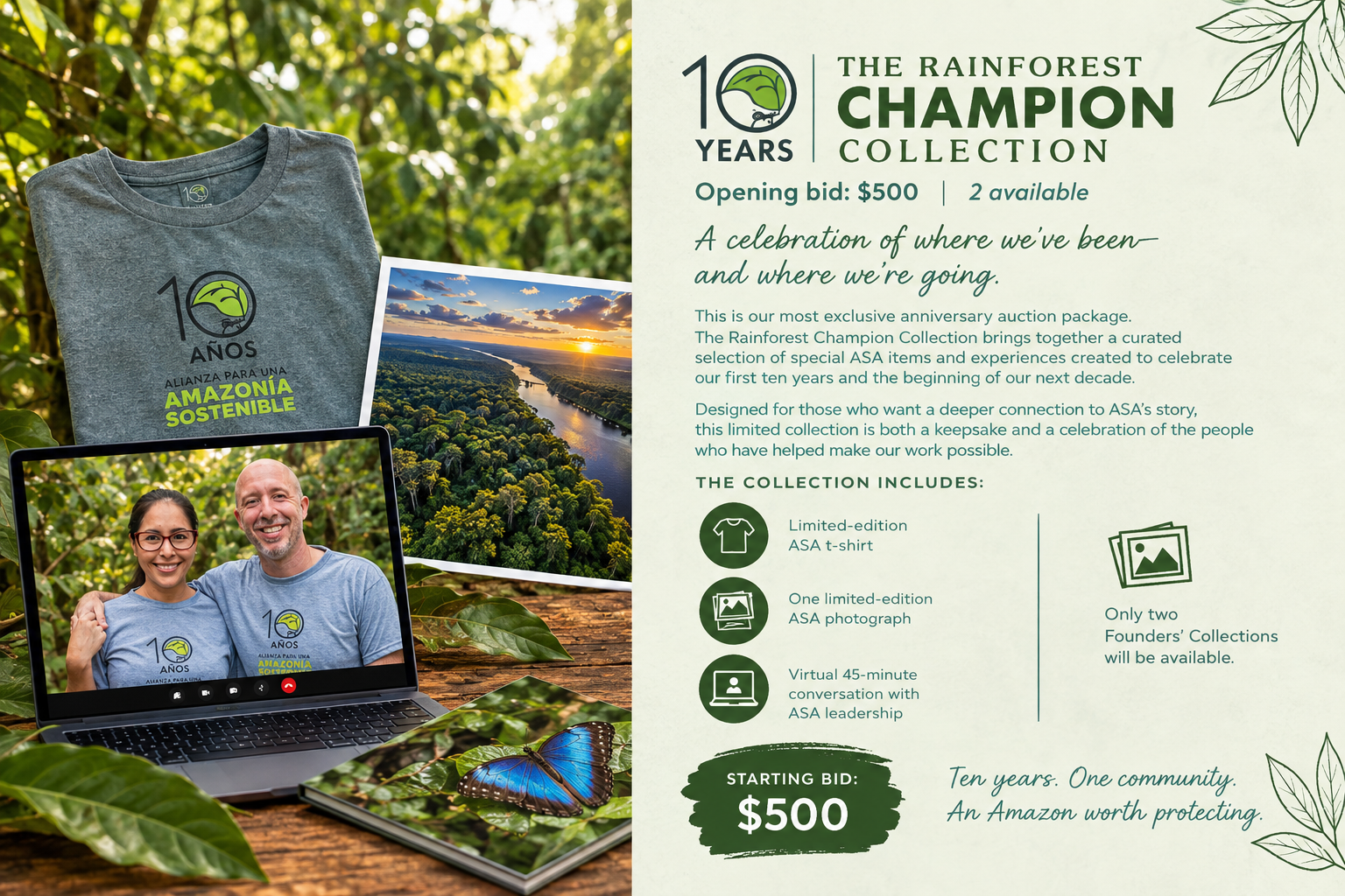 The Rainforest Champion Collection 1