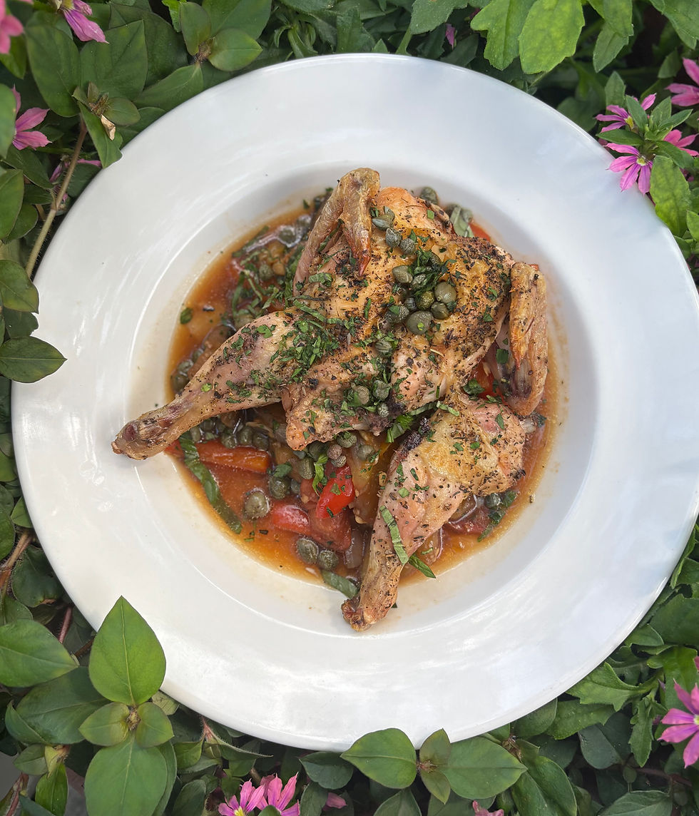 🌱Feelin' Like a Spring Chicken✨