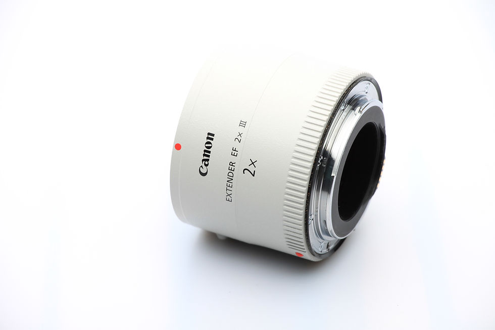 الصورة المصغرة: Canon EF Extender 2 X III Teleconverter