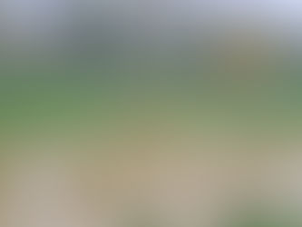 Dispersa una persona in Arno a Firenze!