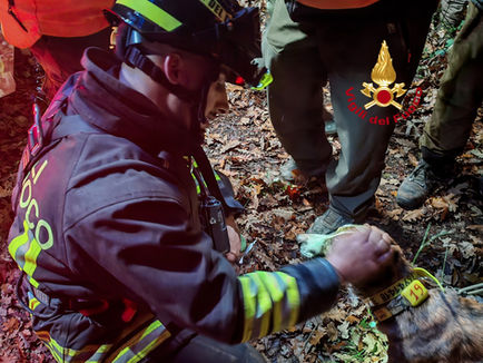 Cane da caccia salvato dai Vigili del Fuoco a Montaione!