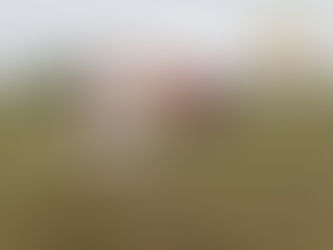 Purtroppo non ce l’hanno fatta!