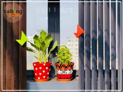 Talking pot1