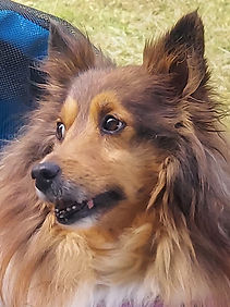 20231001_112535 - Cropped.jpg