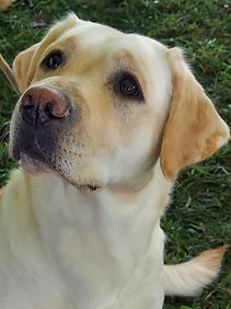 20230929_125322 Cropped.jpg