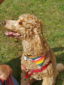 20231001_120126.jpg