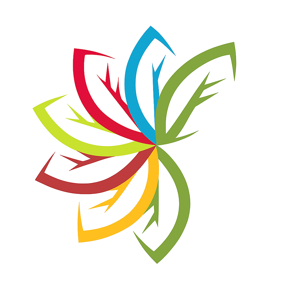 AES Program logo
