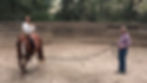 Programa de Horsemanship