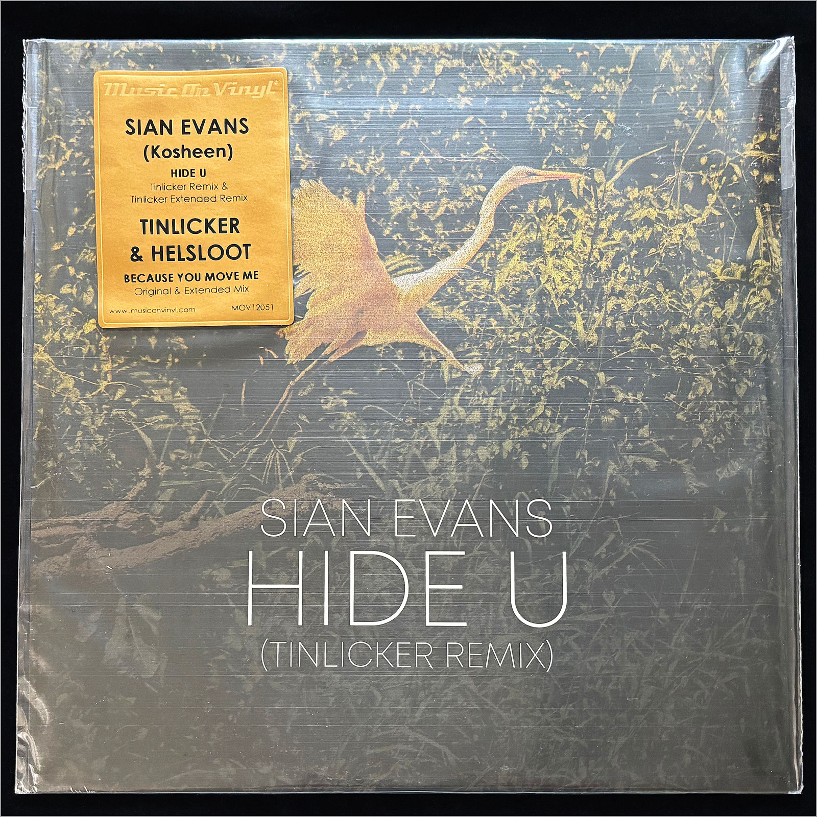 SIAN EVANS / Hide U (Tinlicker Remix)