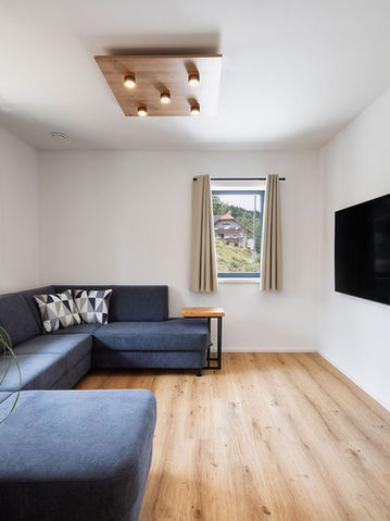 2-Bedroom apartment with private garden - living room