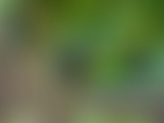 Jour 24 à 26. Anuradhapura