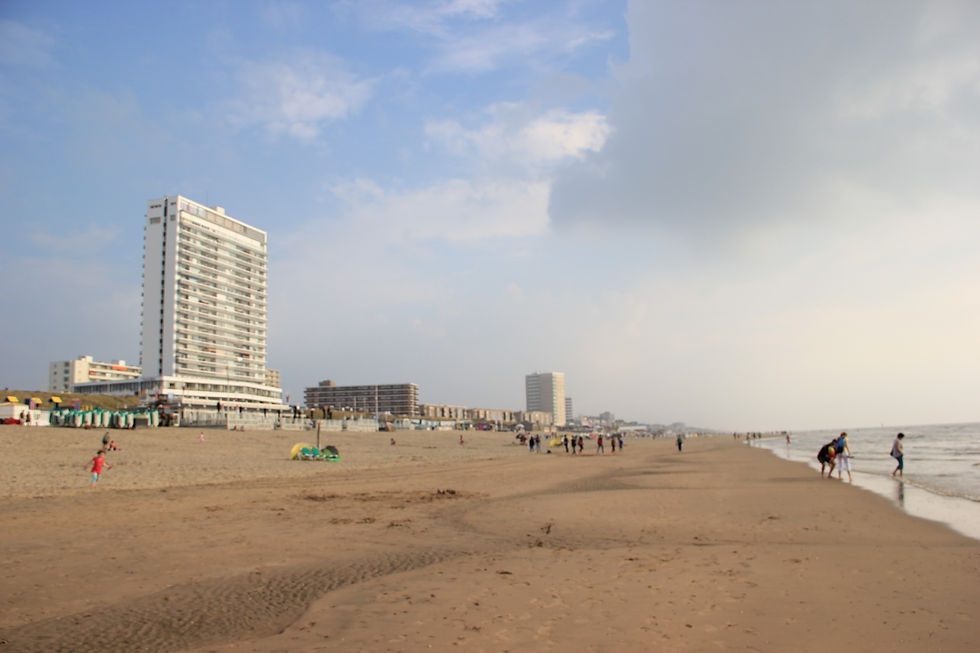 IMG_2251.JPG