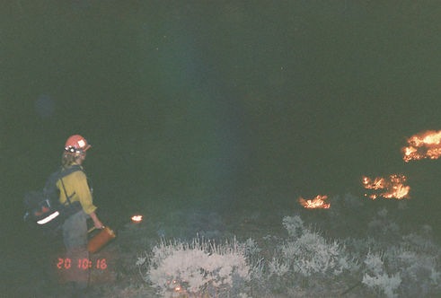 101424007977-R1-050-23A.jpg