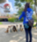 0D194861-56EE-4986-BA3B-EE8D2B4CEABD_edited.jpg