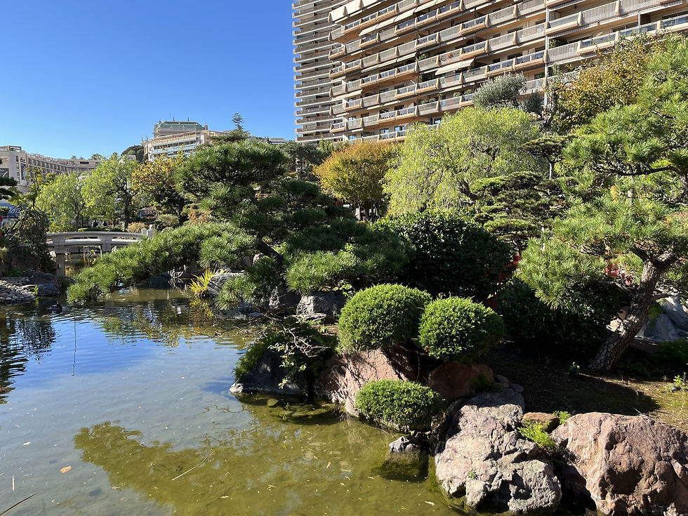 The Japanese Garden in Monaco with residential buildings behind it, photographed in November 2021.