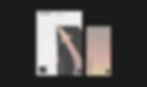 SS-Brand-Identity-Mockup 2.jpg