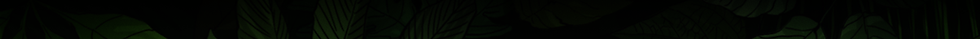 _alto.png