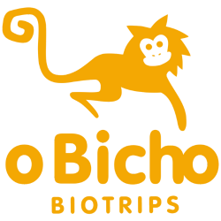 LOGO SITE.png