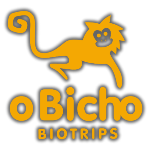 LOGO SITE 500 X 500.png