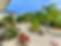 Grandwindsockbonaire_Villa27_tuin.jpg