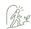 emerging adulthood
